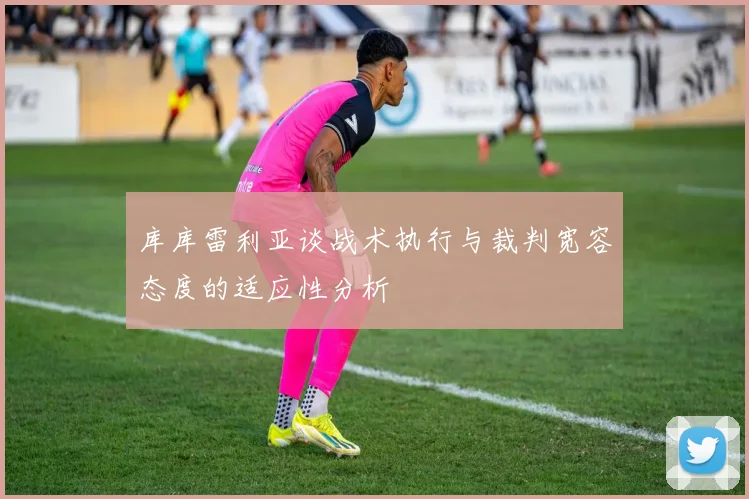 库库雷利亚谈战术执行与裁判宽容态度的适应性分析